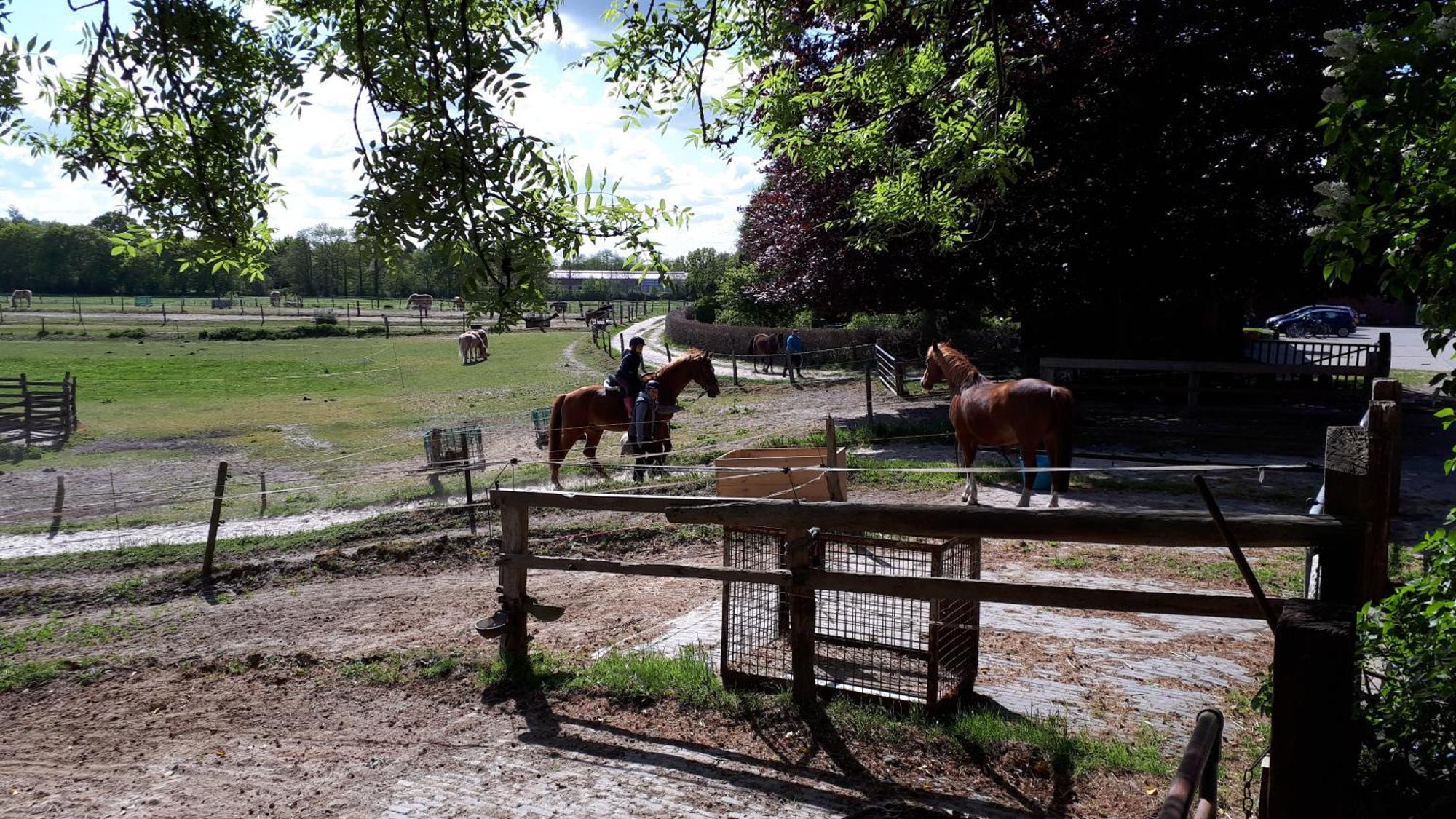 Reiterhof Jaegersburg Ferienwohnung Varel Bagian luar foto
